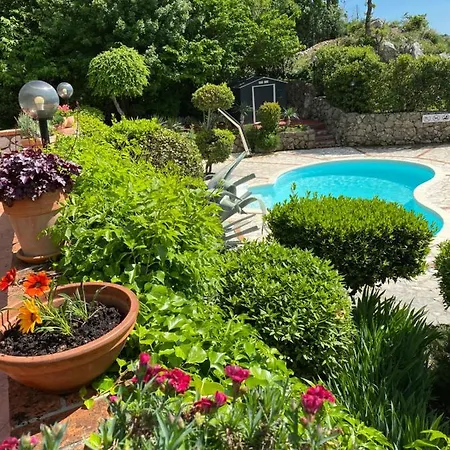 Villa Dora - Boutique Apartments