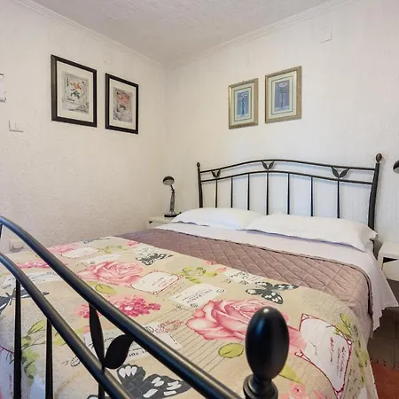 Dora كلارجيفيكا